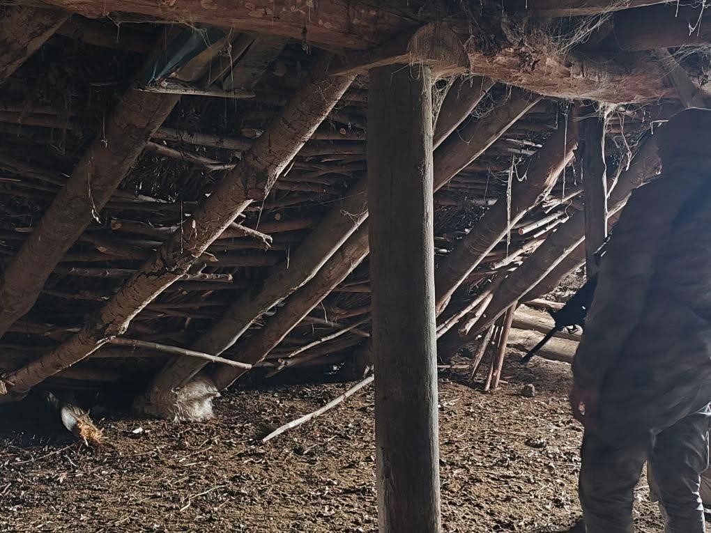 Hakkari Durankaya’da ahır çöktü 5 hayvan telef oldu
