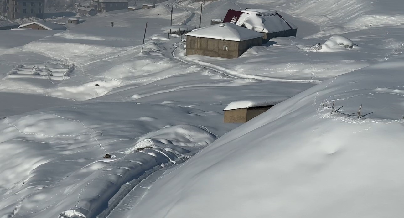 Hakkari kar yağışı: 51 yerleşim yerinin yolu kapandı
