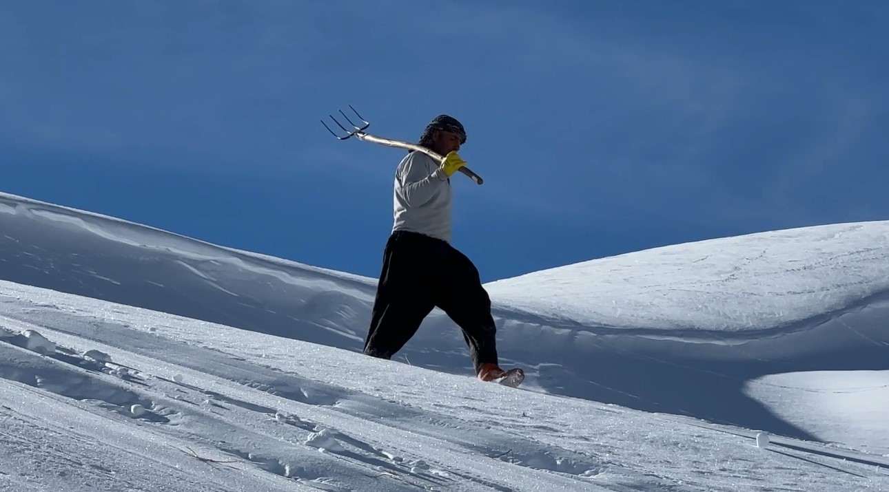 Hakkari’de 1 buçuk metreyi aşan karda çiftçilerin zorlu mesaisi sürüyor
