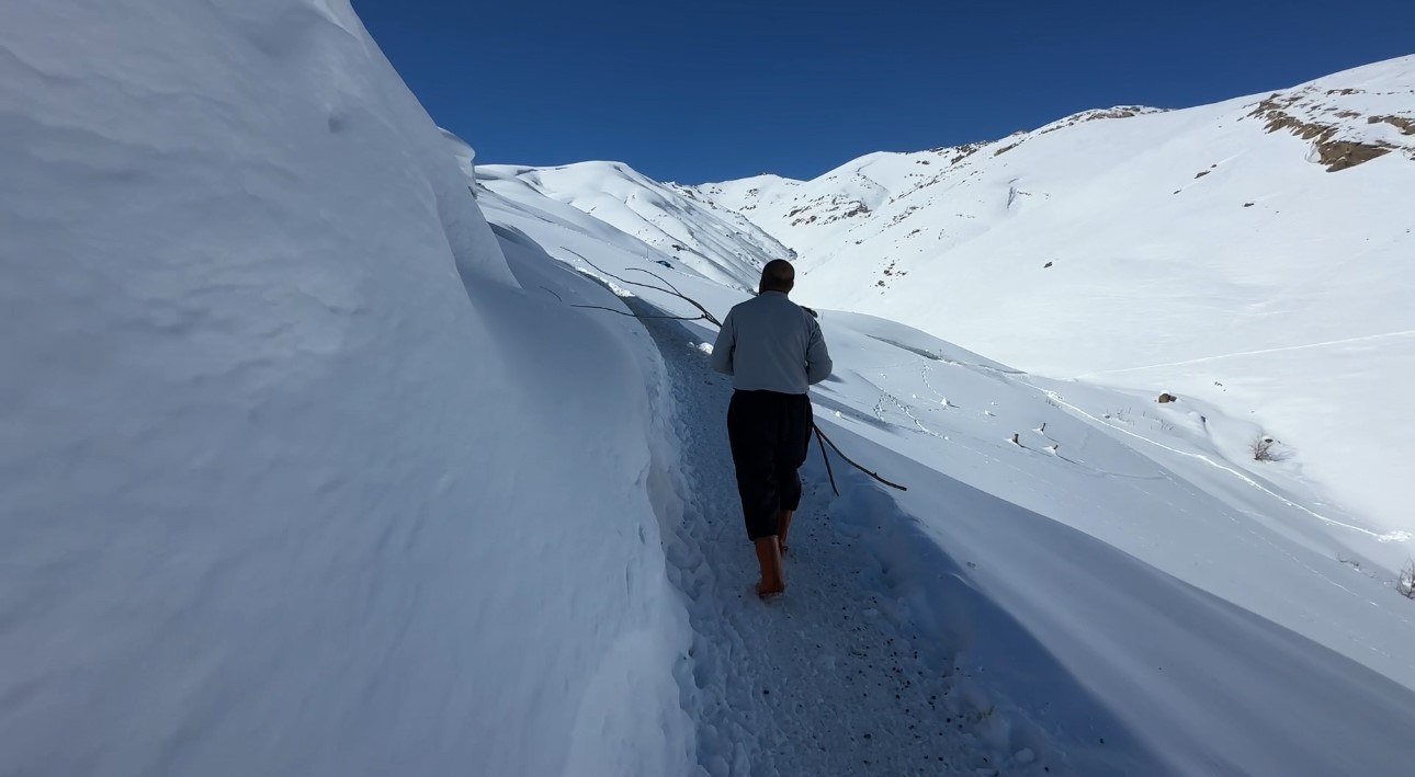 Hakkari’de 1 buçuk metreyi aşan karda çiftçilerin zorlu mesaisi sürüyor
