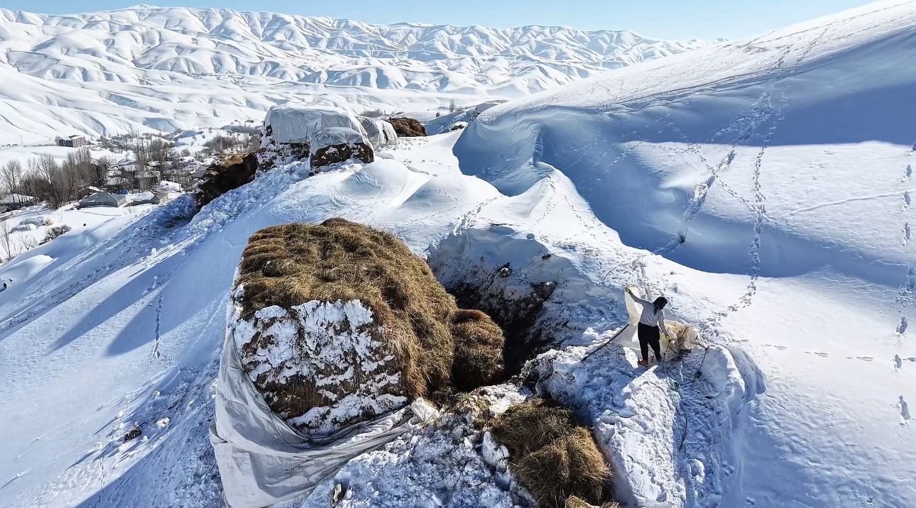 Hakkari’de 1 buçuk metreyi aşan karda çiftçilerin zorlu mesaisi sürüyor
