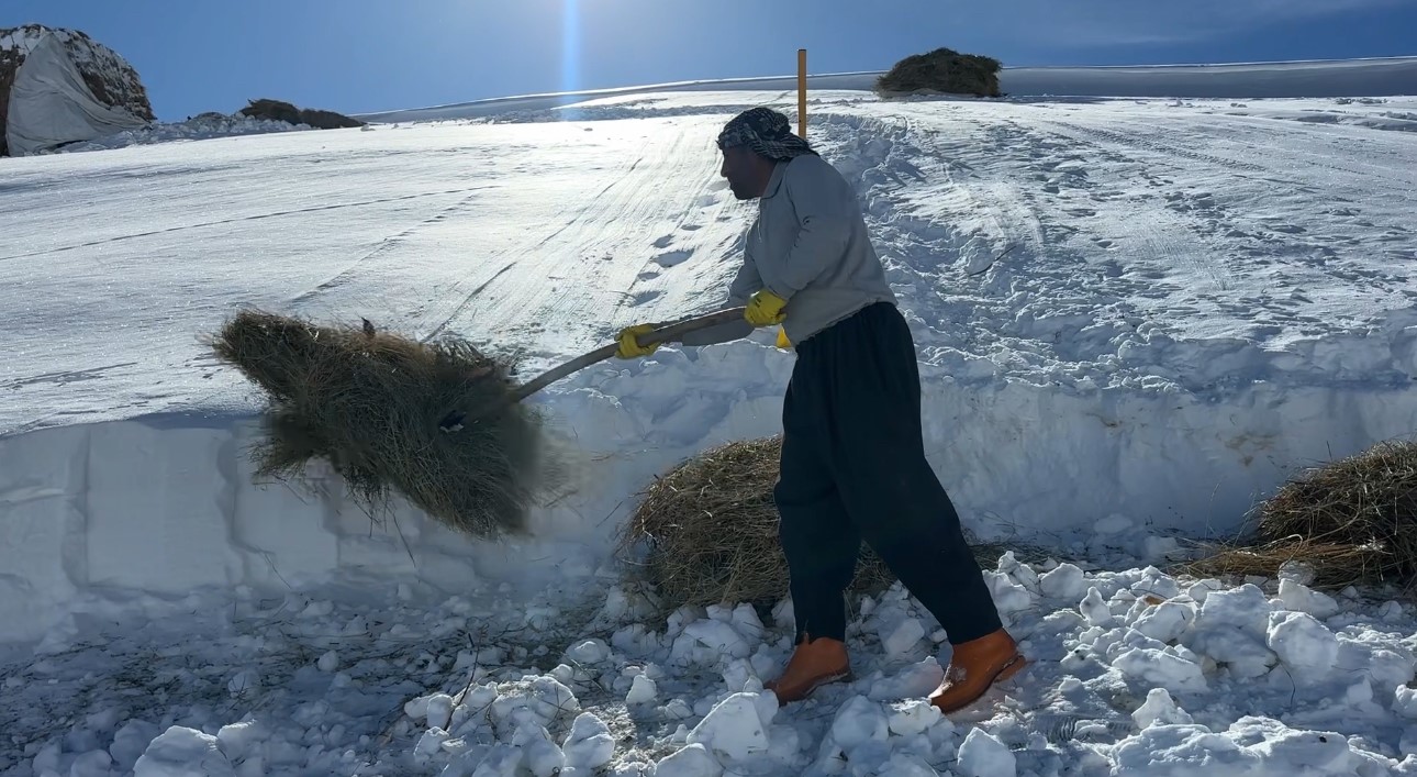 Hakkari’de 1 buçuk metreyi aşan karda çiftçilerin zorlu mesaisi sürüyor
