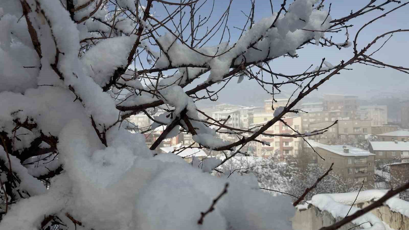 Hakkari’de 144 yerleşim yerinin yolu ulaşıma kapandı
