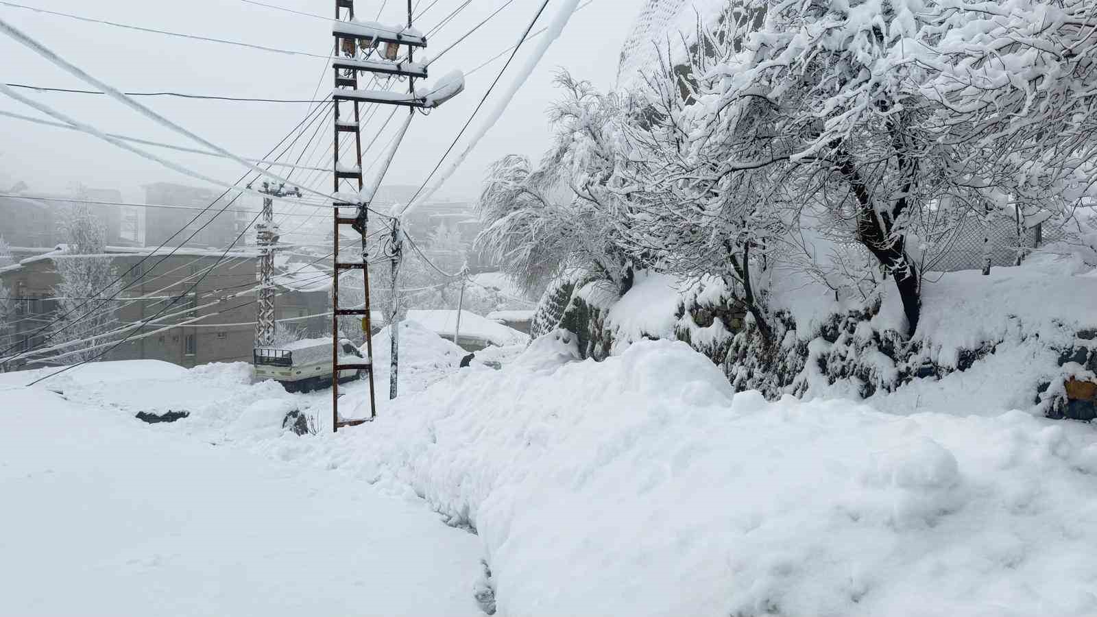 Hakkari’de 310 yerleşim yeri ulaşıma açıldı
