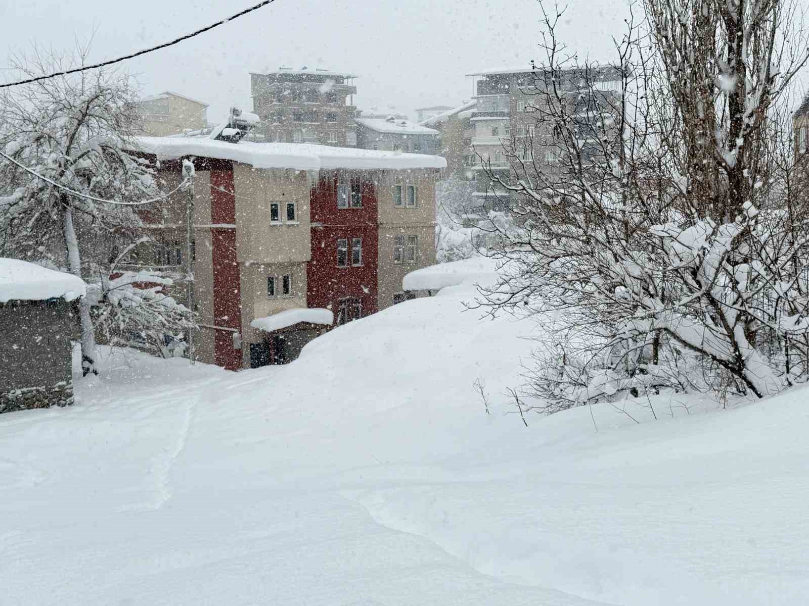 Hakkari’de 357 yerleşim yerinin yolu kapandı
