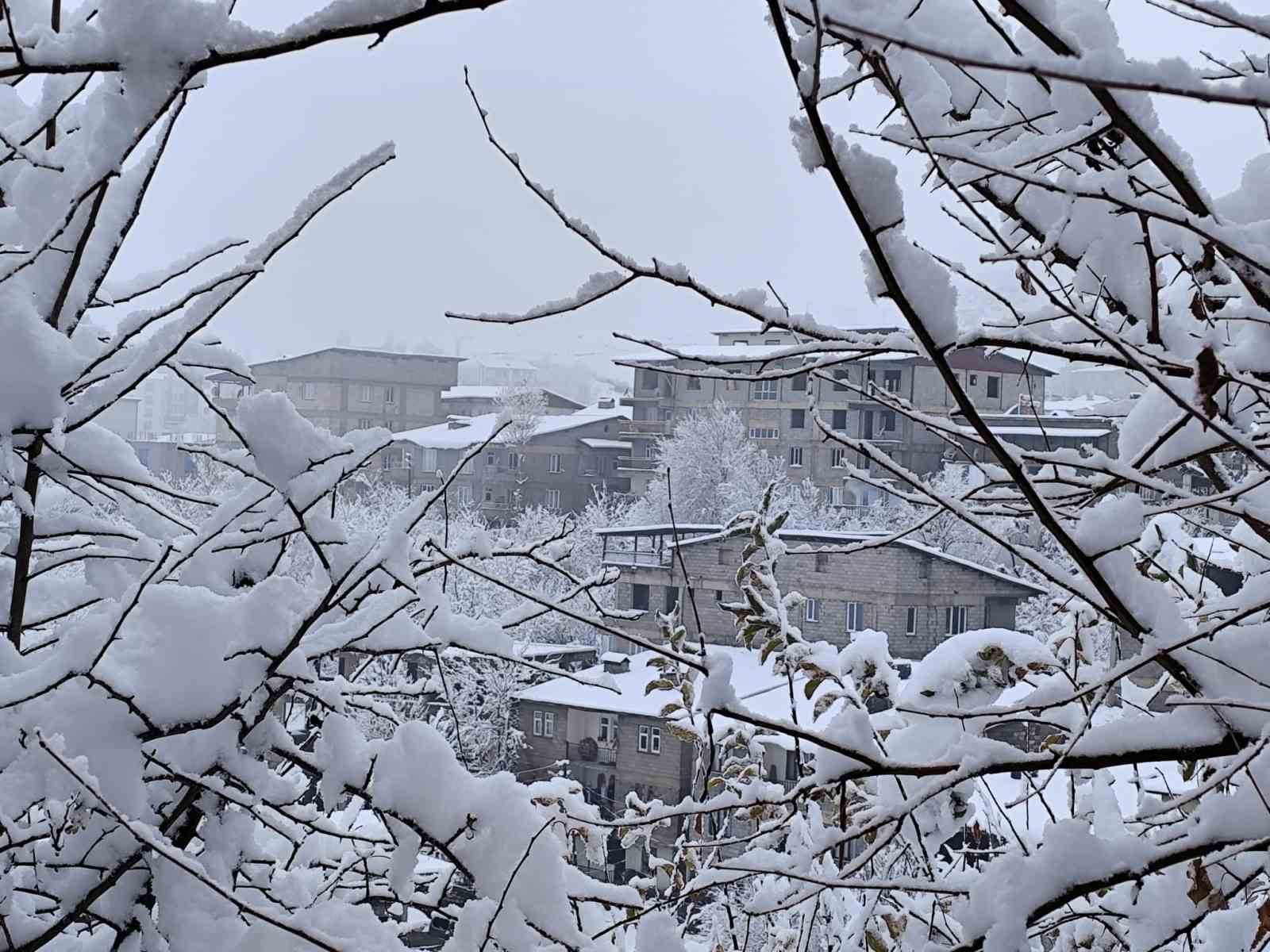 Hakkari’de 7 köy ve 18 mezra yolu için seferberlik
