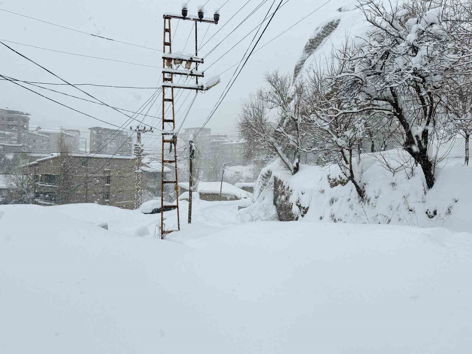 Hakkari’de 89 yerleşim yerinin yolu kapandı
