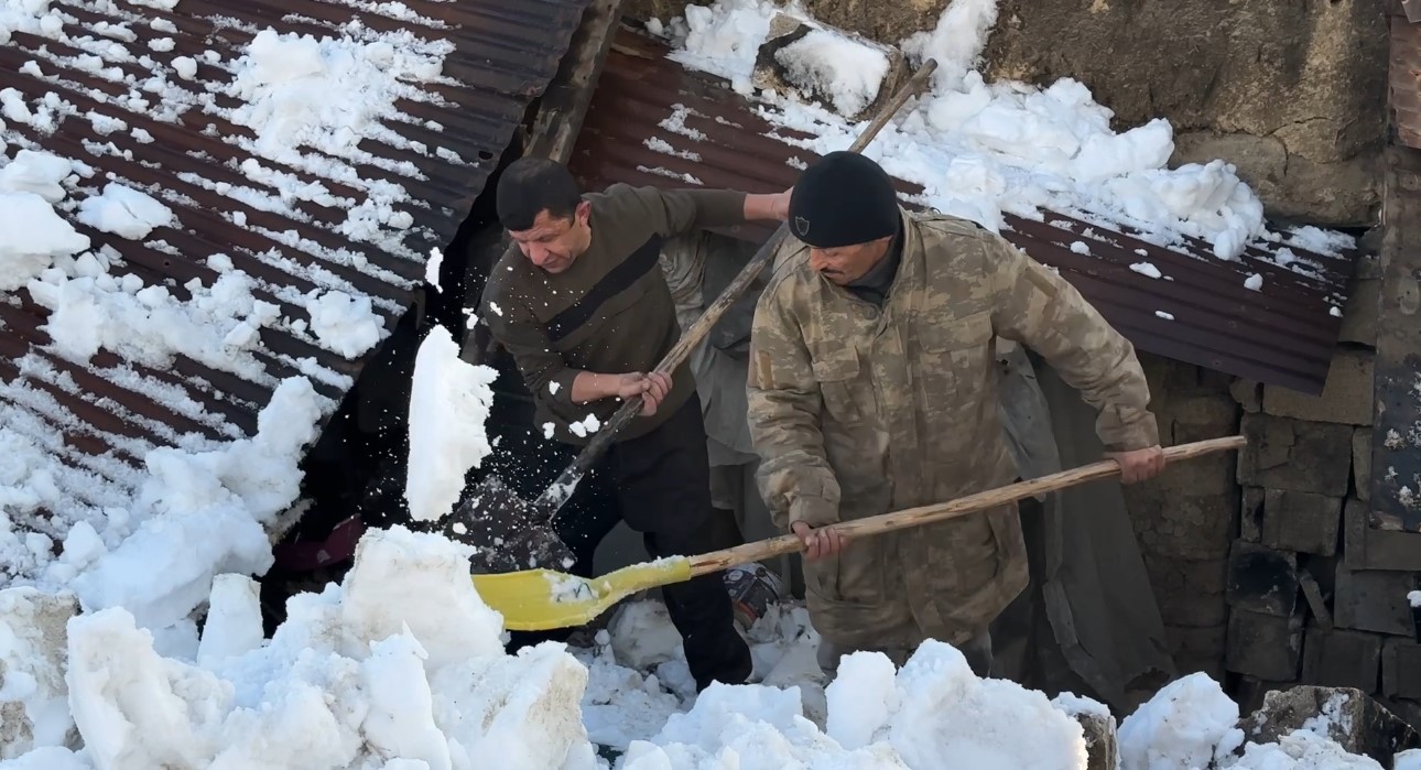 Hakkari’de ahırın çatısı çöktü: 2 hayvan telef oldu
