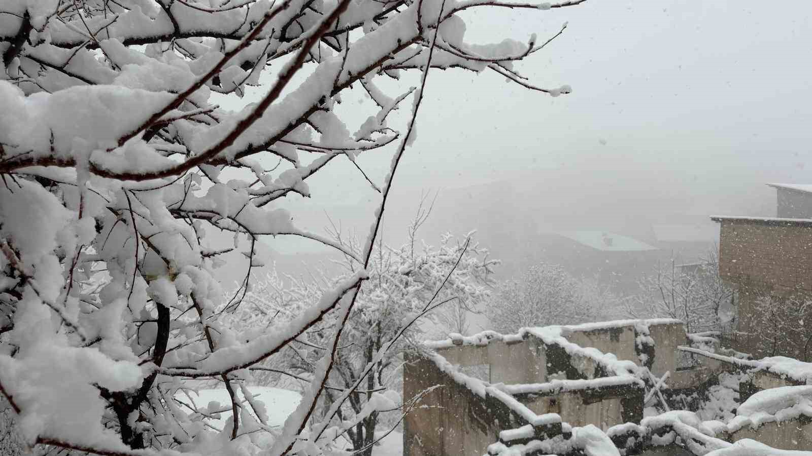 Hakkâri’de kar 20 köy ve 38 mezra yolu ulaşıma kapandı
