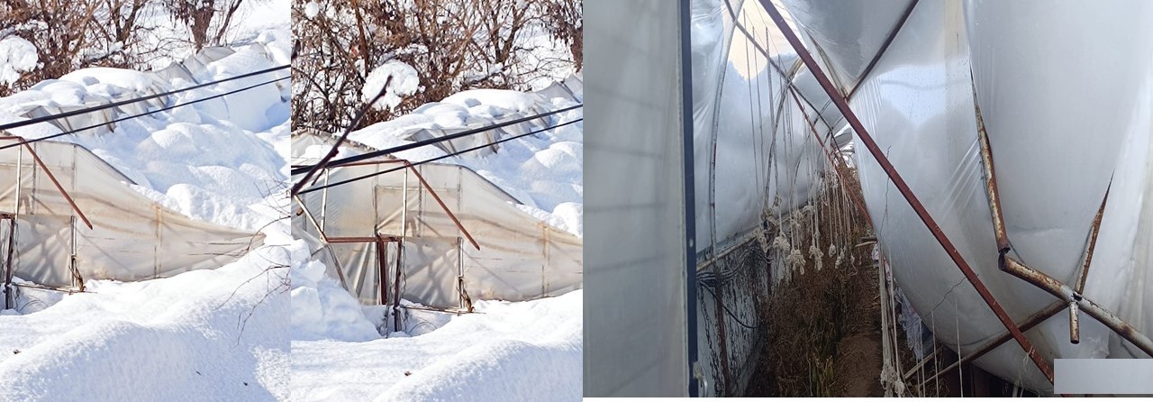 Hakkari’de kar seraları çökertti
