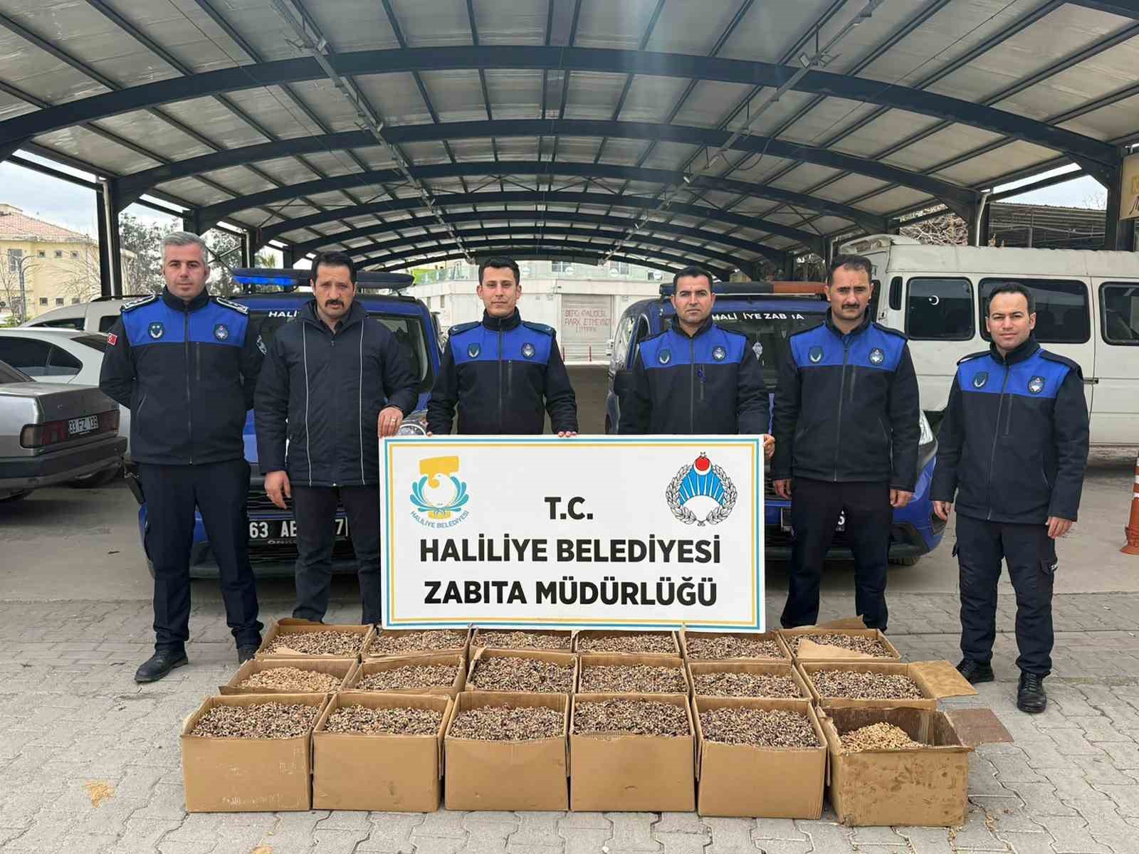 Haliliye’de 180 kilogram küflenmiş ceviz ele geçirildi
