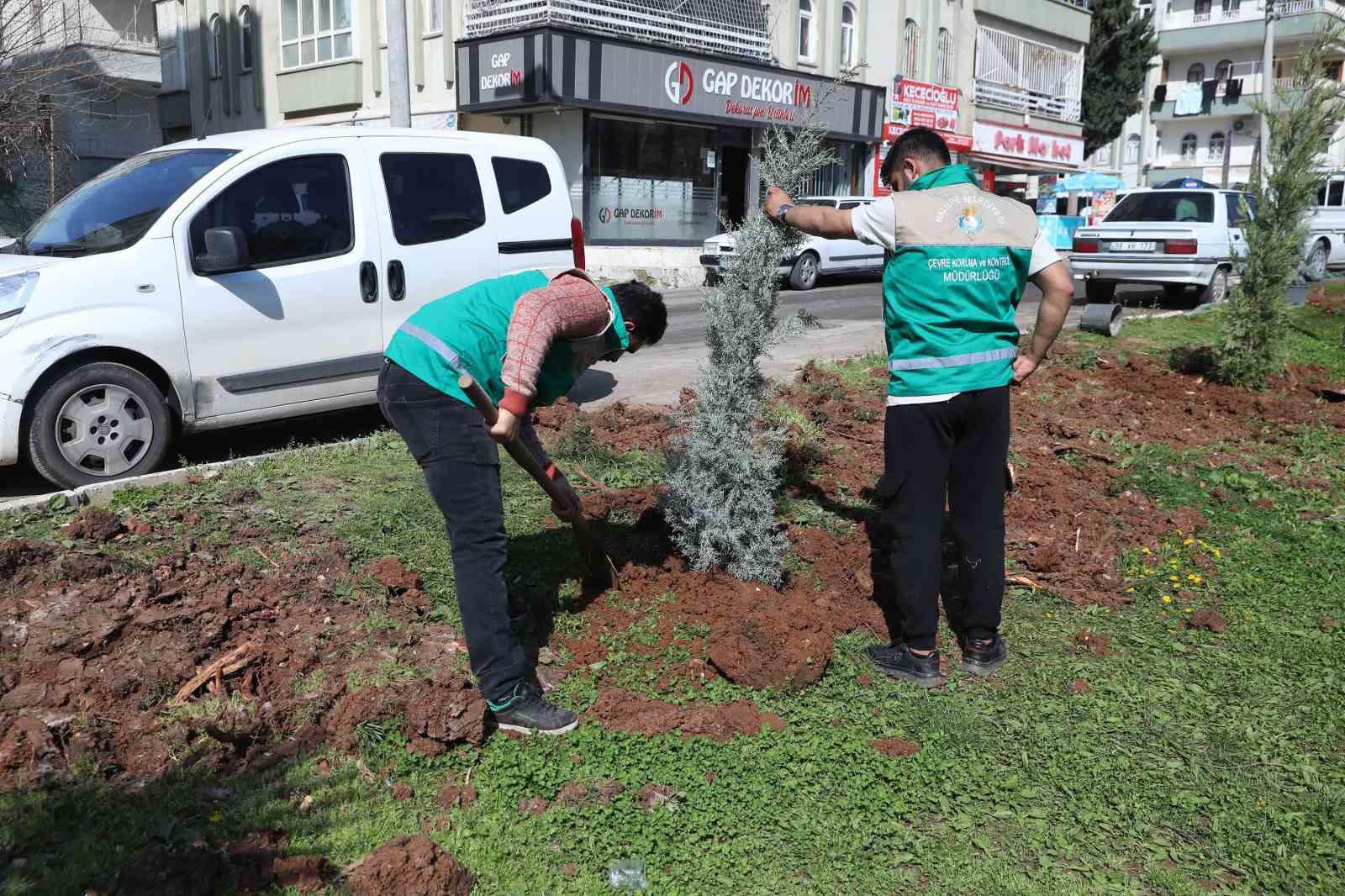 Haliliye’de yaz öncesi parklarda hummalı çalışma

