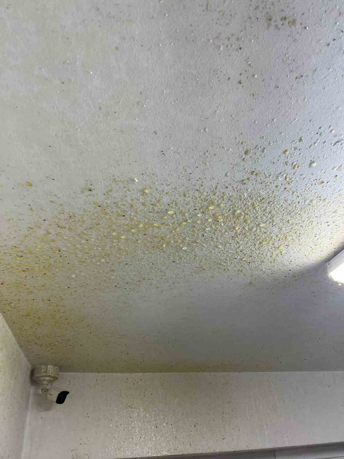 Halkın sağlığı ile oynayan fırına ceza
