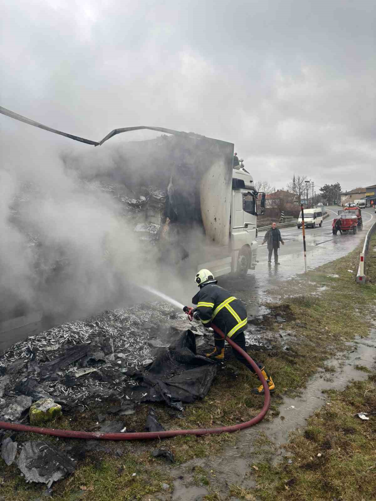 Hamsi yüklü tır alevlere teslim oldu: Dorse kullanılamaz hale geldi

