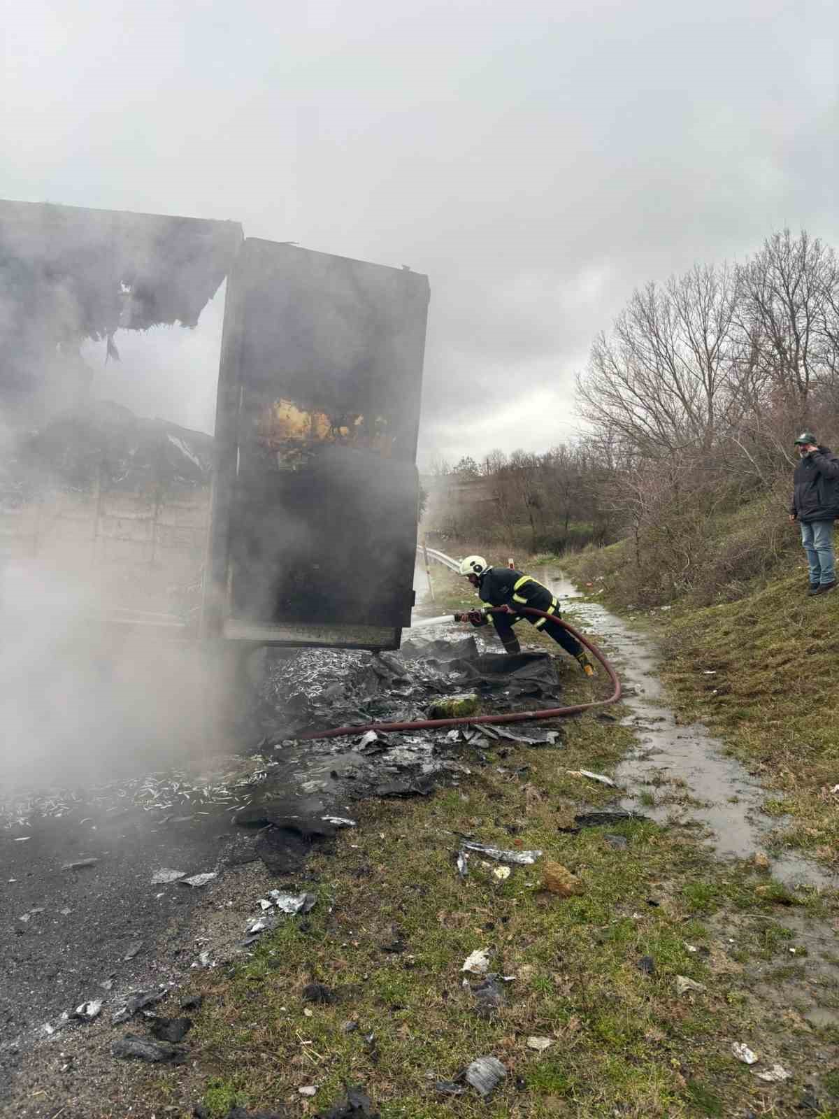 Hamsi yüklü tır alevlere teslim oldu: Dorse kullanılamaz hale geldi
