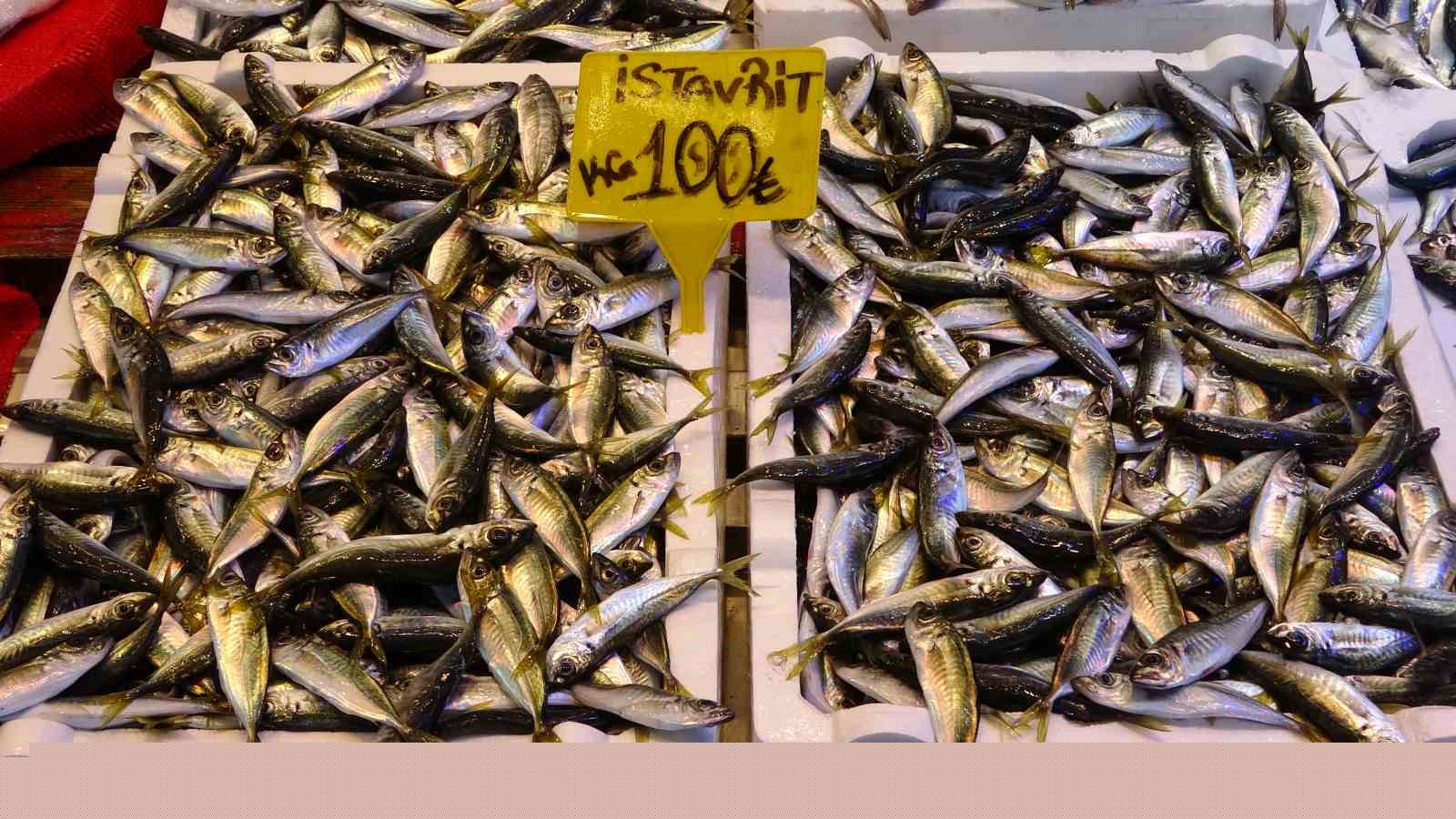 Hamside beklenen son
