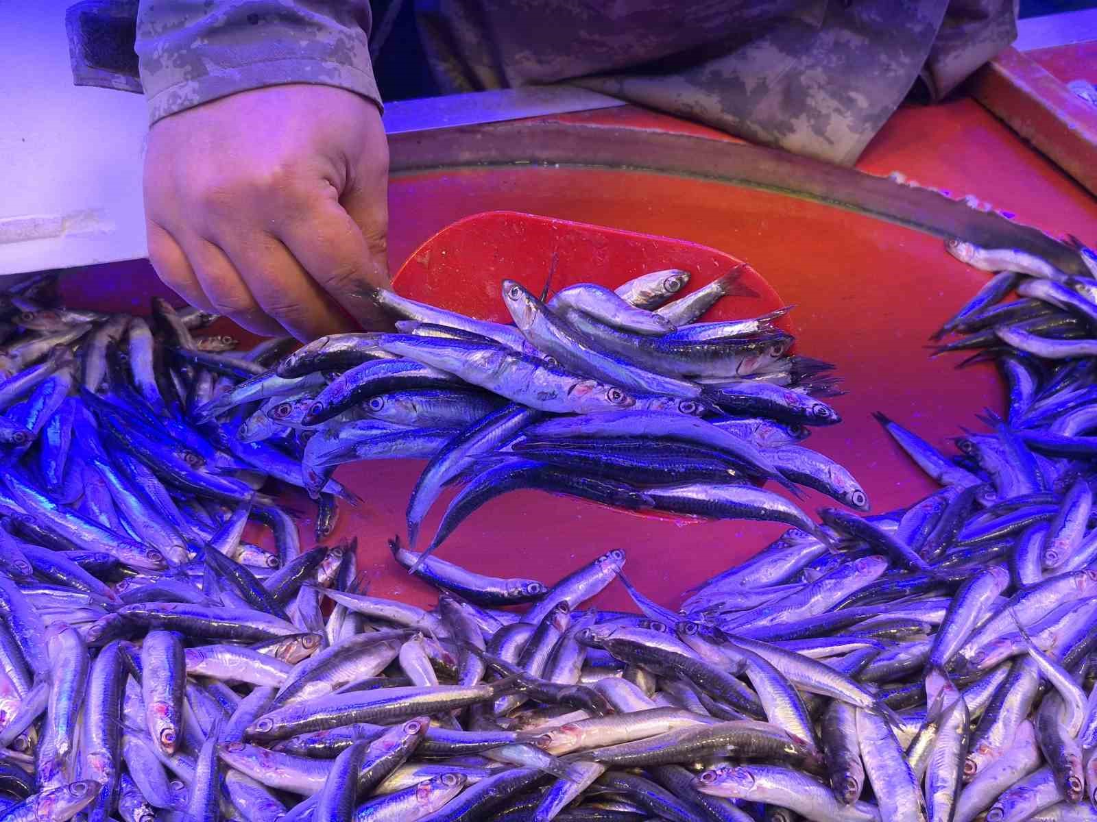 Hamsinin fiyatı 50 TL’ye kadar düştü, balık satışları hızlandı
