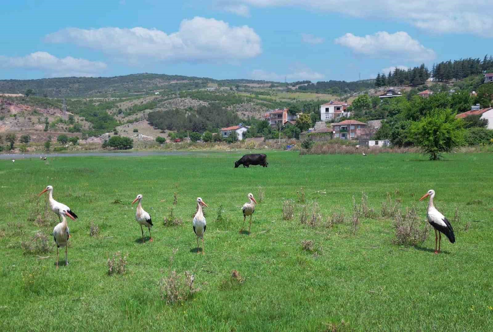 Hamzabey’de doğa ve tarih buluşuyor
