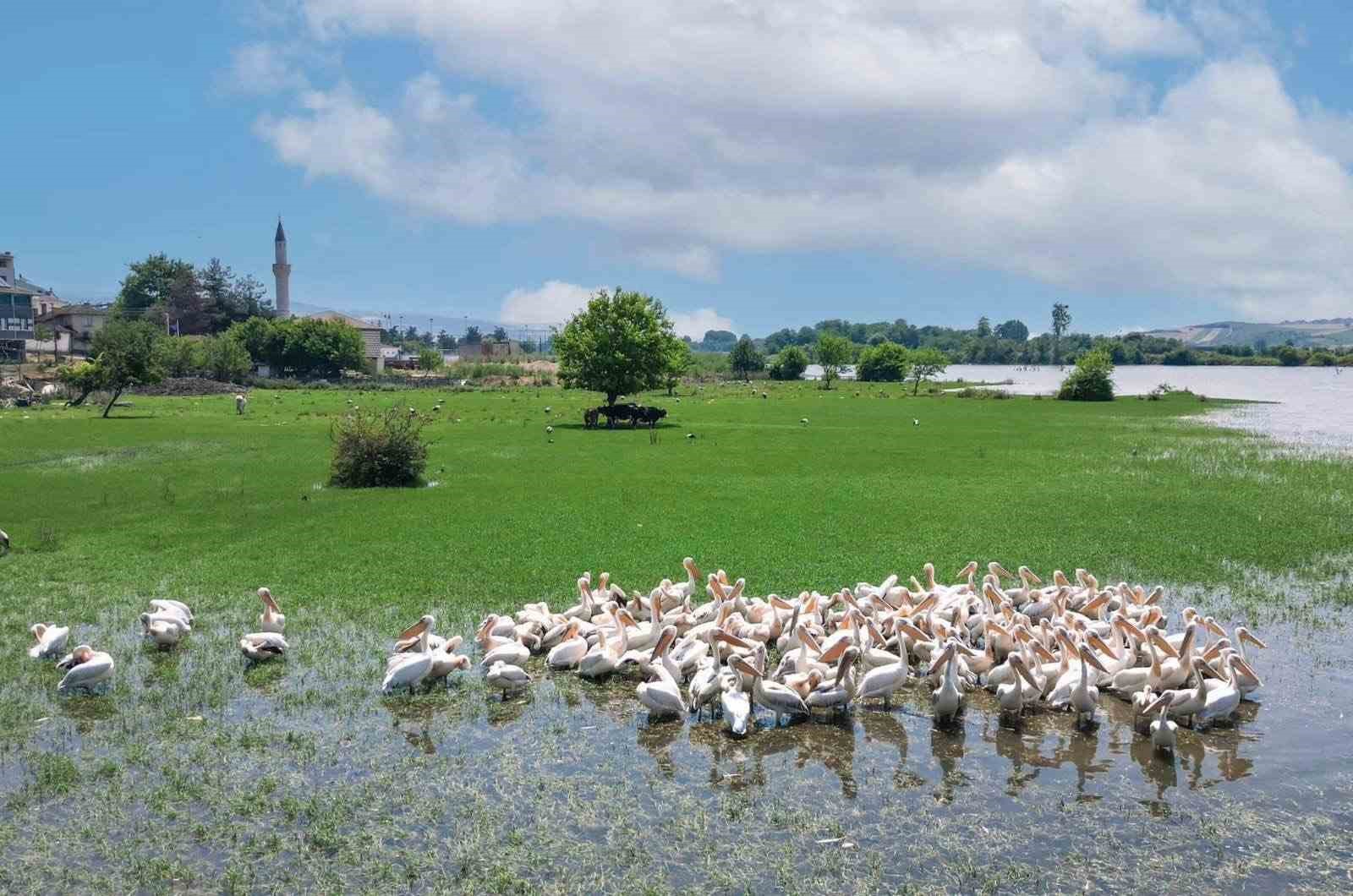 Hamzabey’de doğa ve tarih buluşuyor
