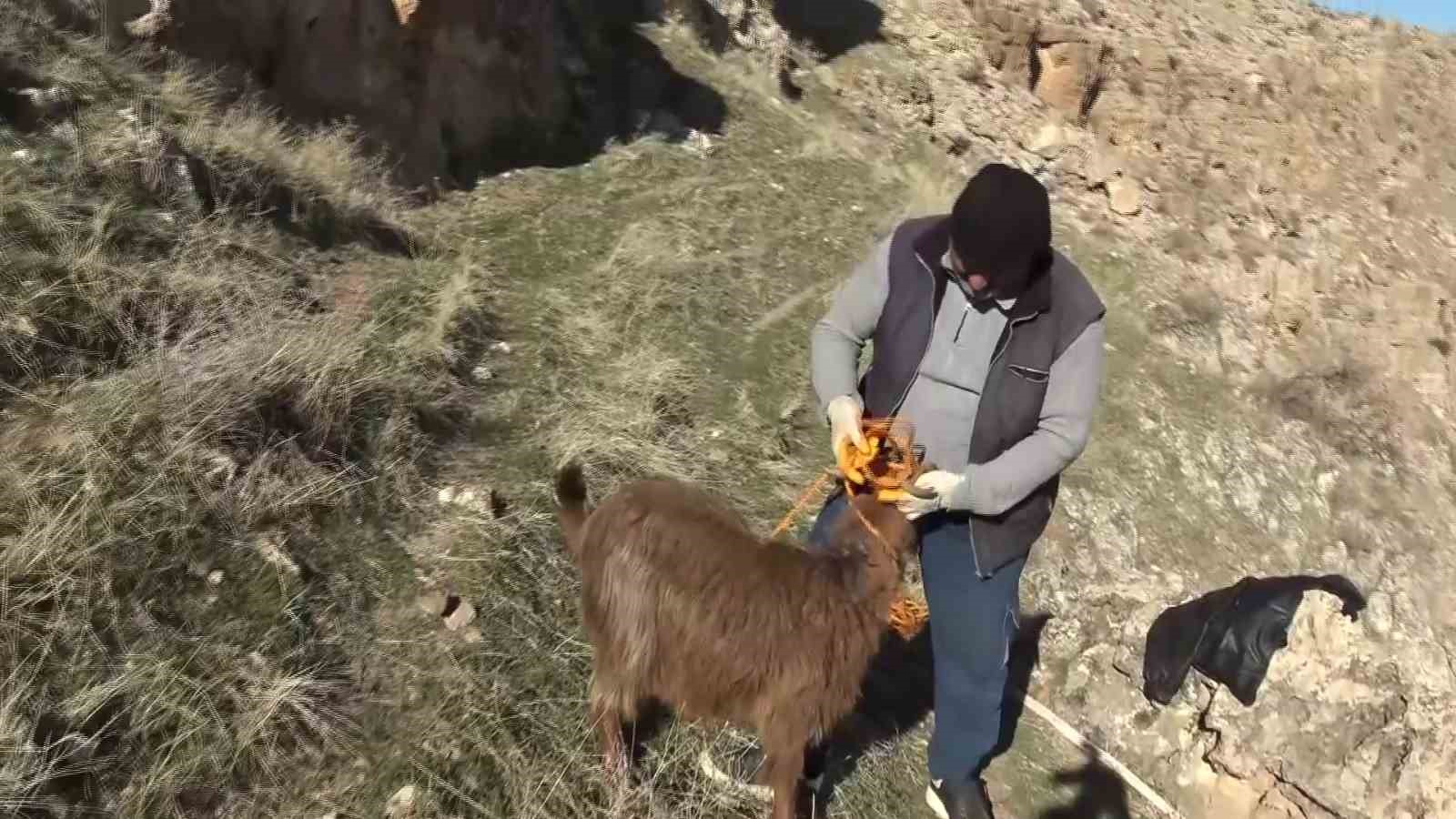 Hasankeyf’te 5 gündür mahsur kalan keçi kurtarıldı

