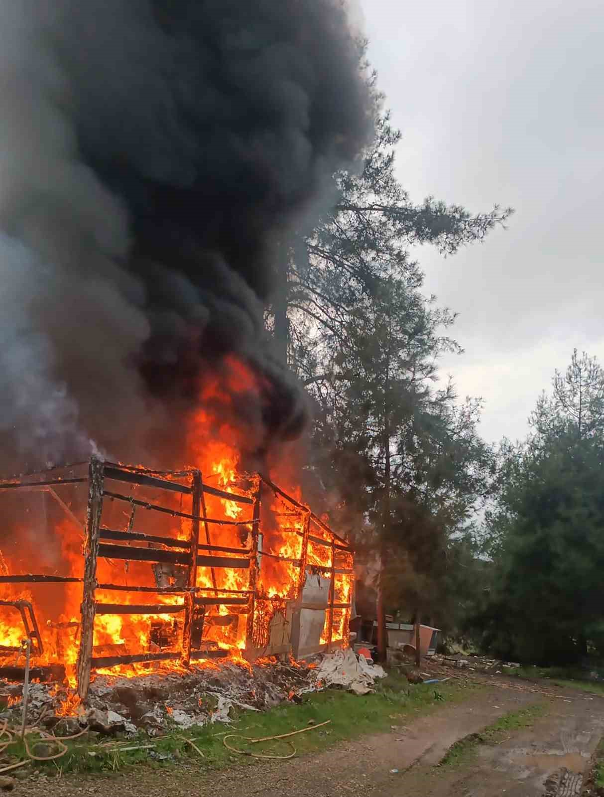 Hasır ev alevlere teslim oldu
