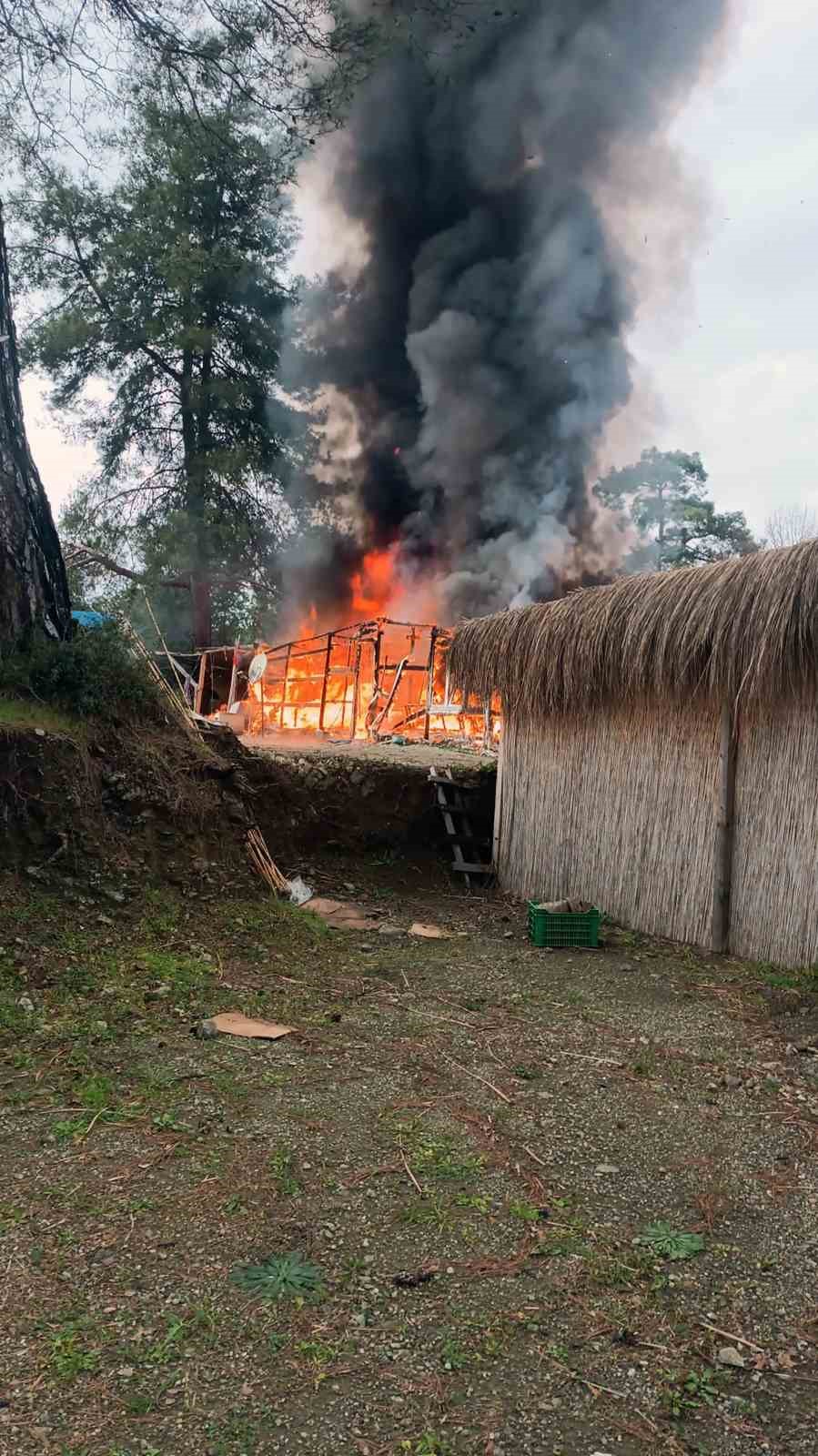 Hasır ev alevlere teslim oldu
