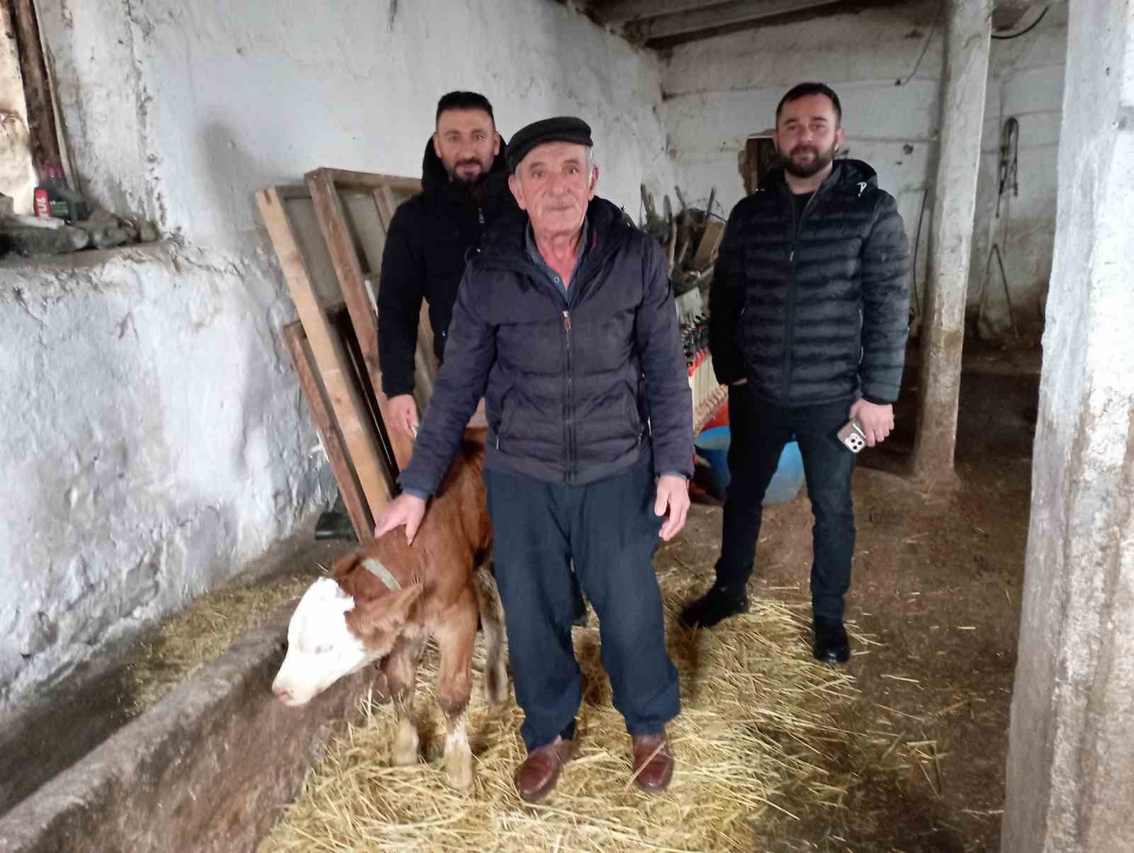 Hasta buzağıya evinde baktı
