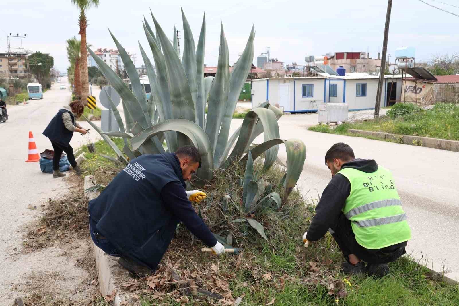 Hatay Büyükşehir Belediyesi bitkide dışa bağımlılığı en aza indirmeyi hedefliyor
