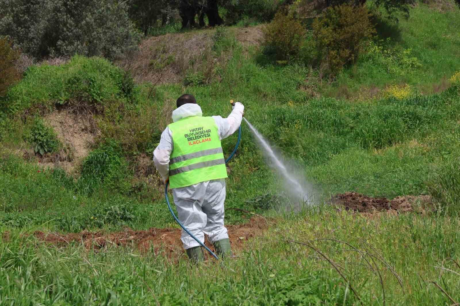 Hatay Büyükşehir Belediyesi haşereyle mücadele çalışmalarına devam ediyor
