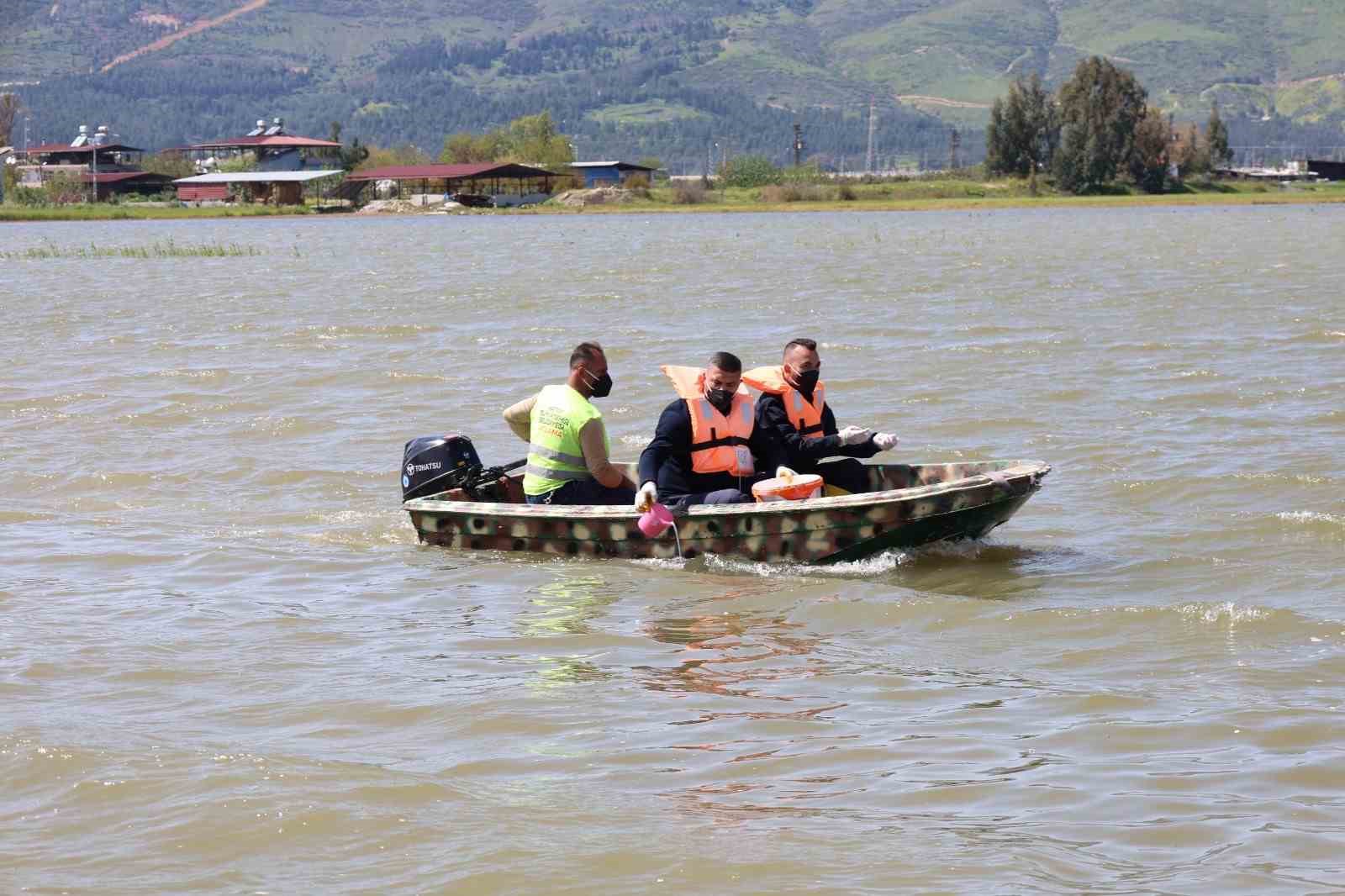 Hatay Büyükşehir Belediyesi haşereyle mücadele çalışmalarına devam ediyor
