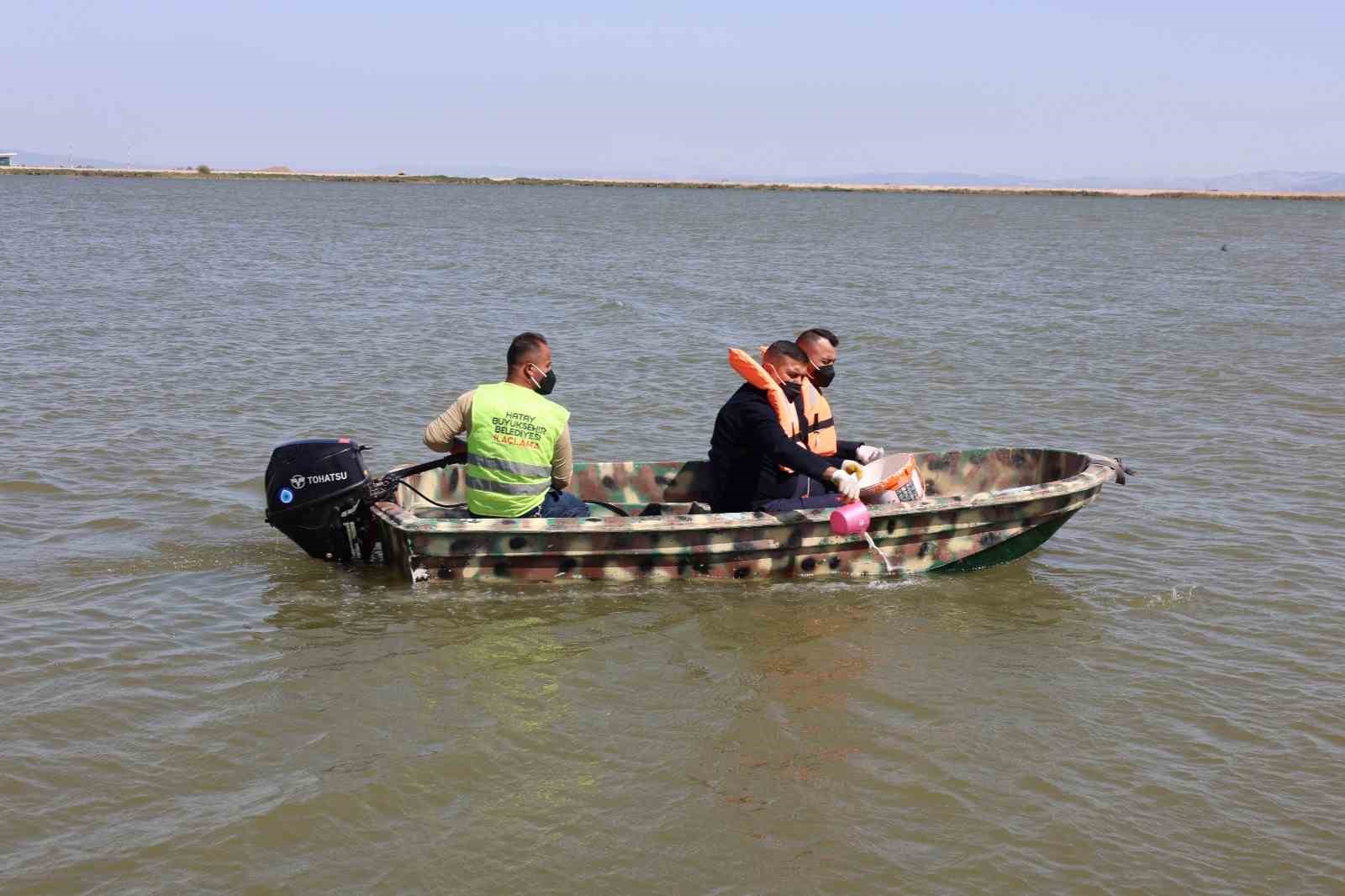 Hatay Büyükşehir Belediyesi haşereyle mücadele çalışmalarına devam ediyor
