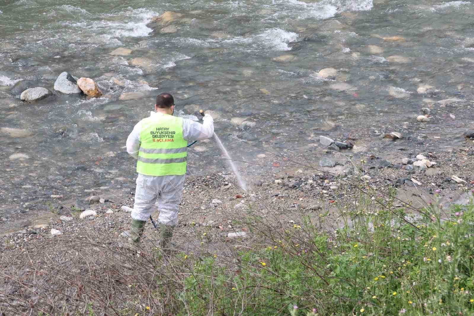 Hatay Büyükşehir Belediyesi haşereyle mücadele çalışmalarına devam ediyor
