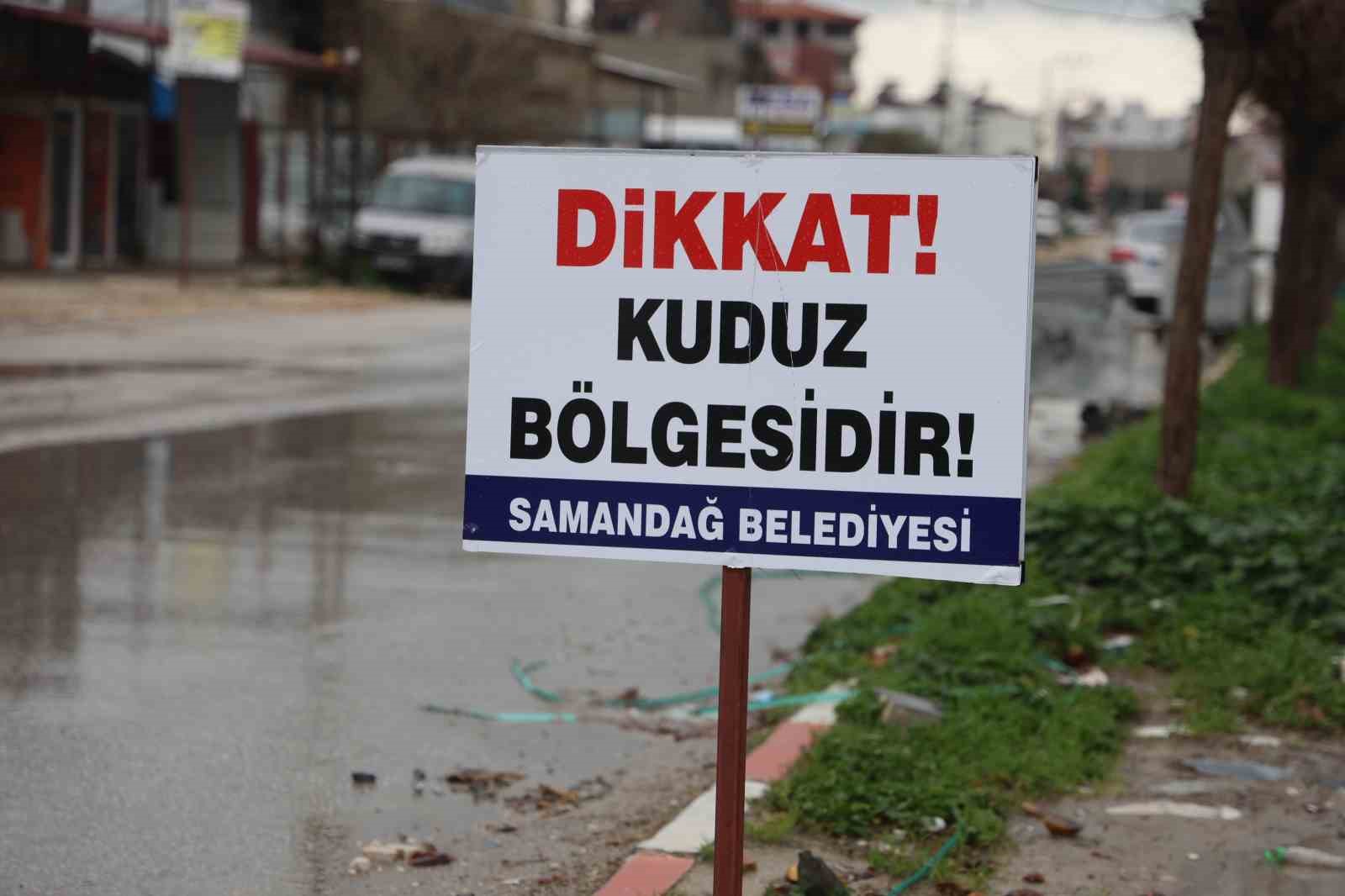 Hatay’da 4 mahalleye kuduz karantinası
