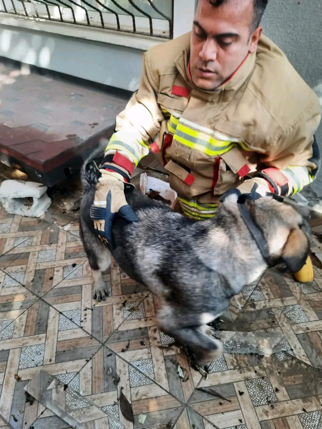 Hatay’da havalandırma boşluğuna düşen köpek kurtarıldı
