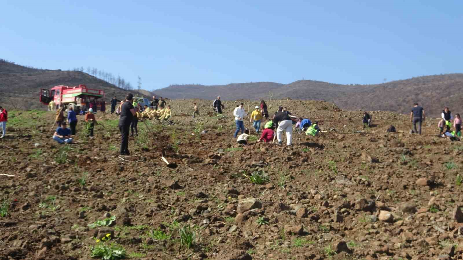 Hatay’da orman yangınından zarar gören alanlarda 5 bin fidan toprakla buluşturuldu
Hatay’da orman yangınından zarar gören alanlarda 5 bin fidan toprakla buluşturuldu