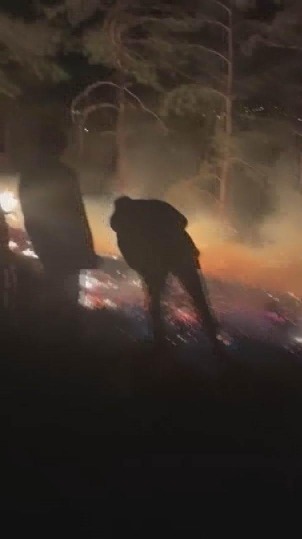 Hatay’da ormanlık alanda çıkan yangın büyümeden söndürüldü
