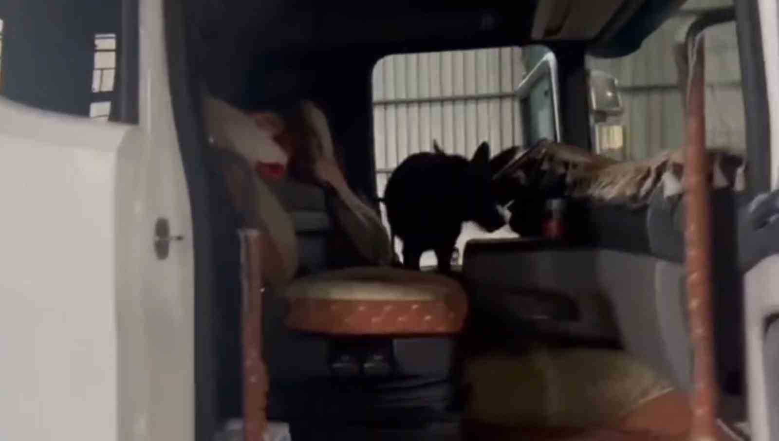 Hatay’da tırın yatak kısmından 5 kilo uyuşturucu çıktı
