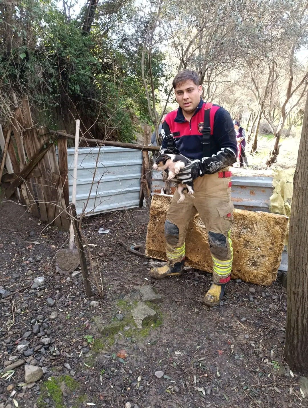 Hatay’da toprağın kaymasıyla göçük altında kalan yavru köpekler kurtarıldı
