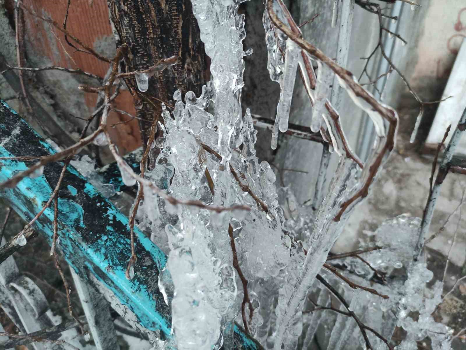 Hava sıcaklığı eksi 10’a düştü, ağaç dalları dondu
