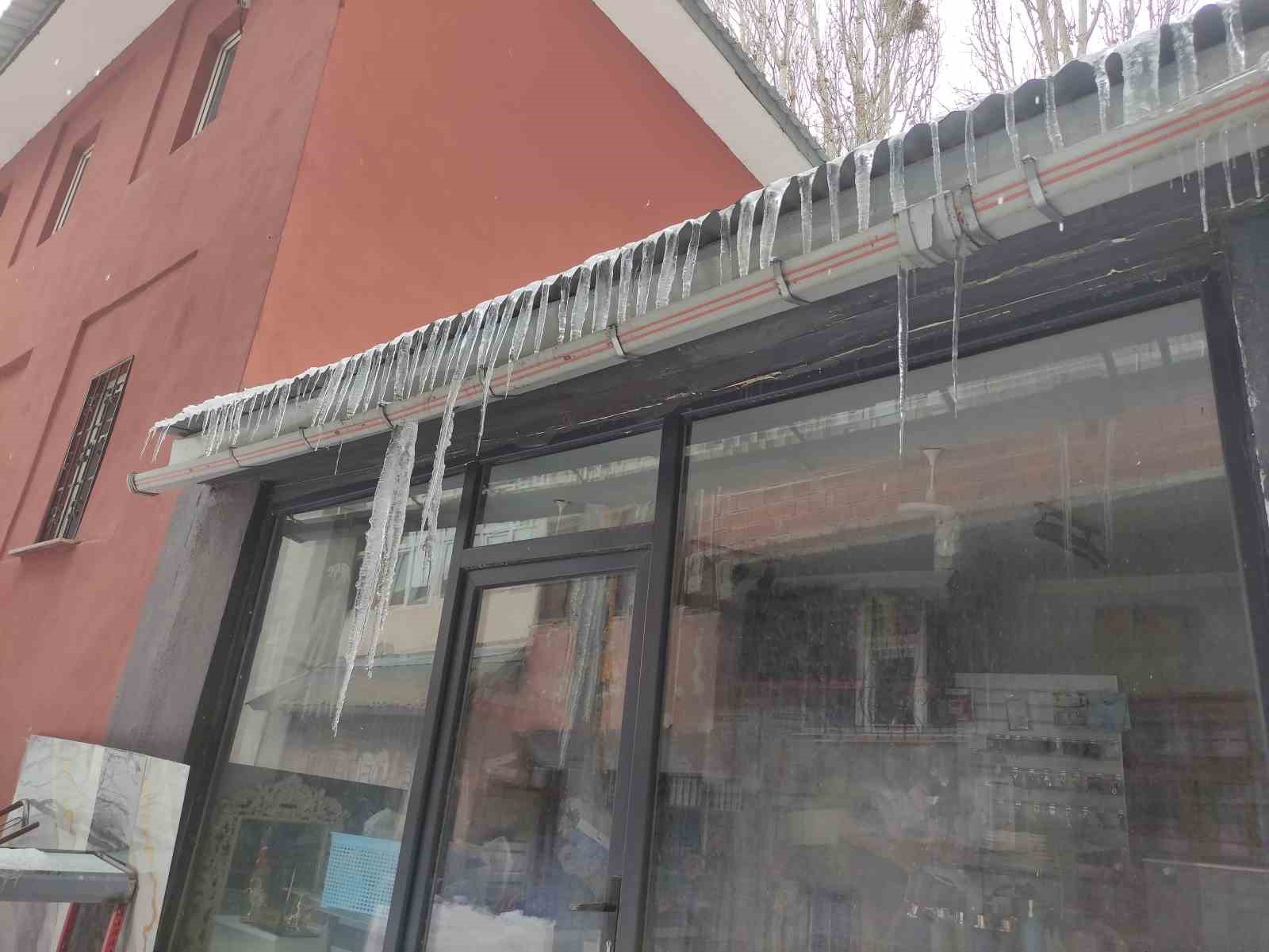 Hava sıcaklığı eksi 10’a düştü, ağaç dalları dondu
