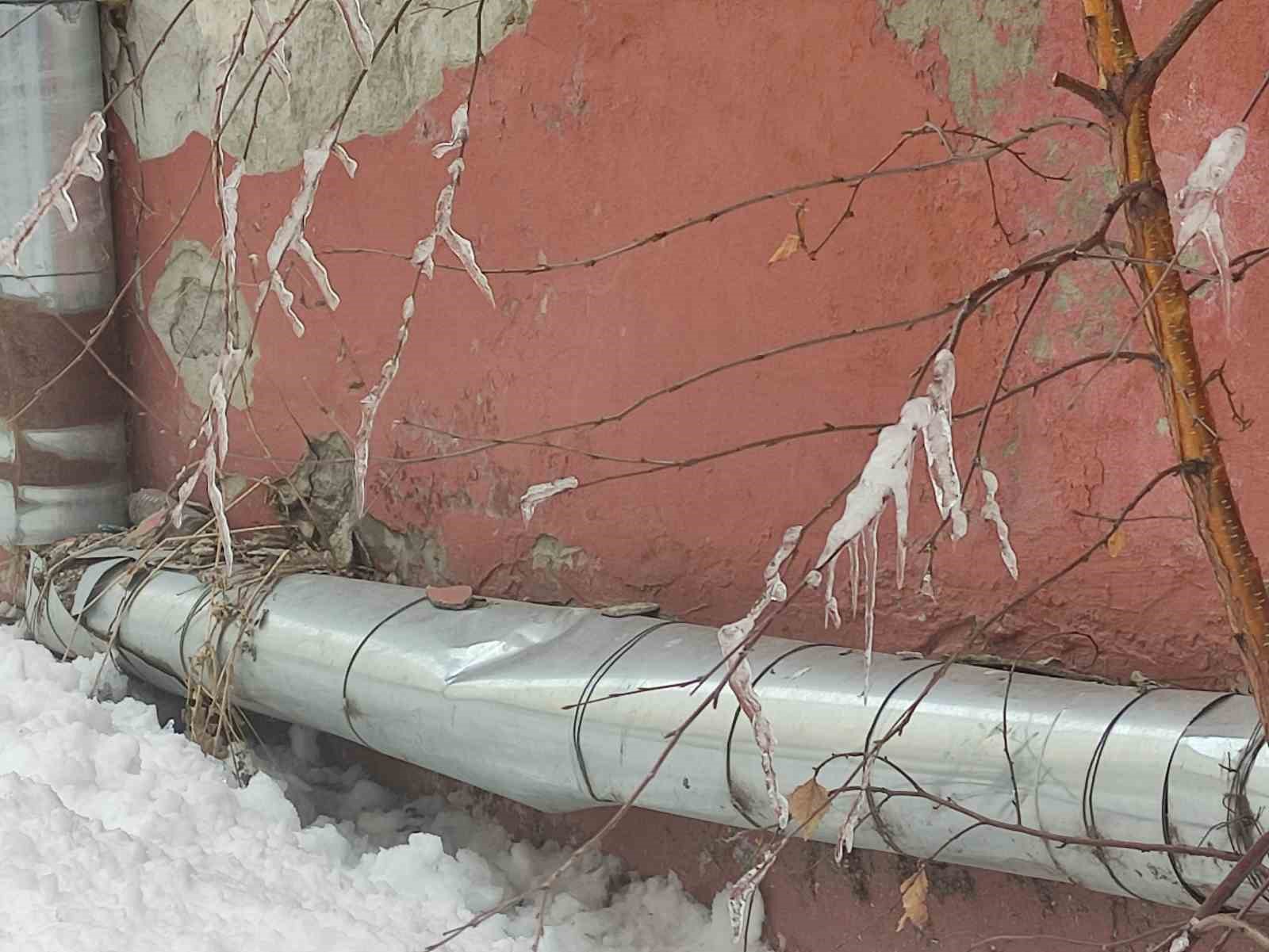 Hava sıcaklığı eksi 10’a düştü, ağaç dalları dondu
