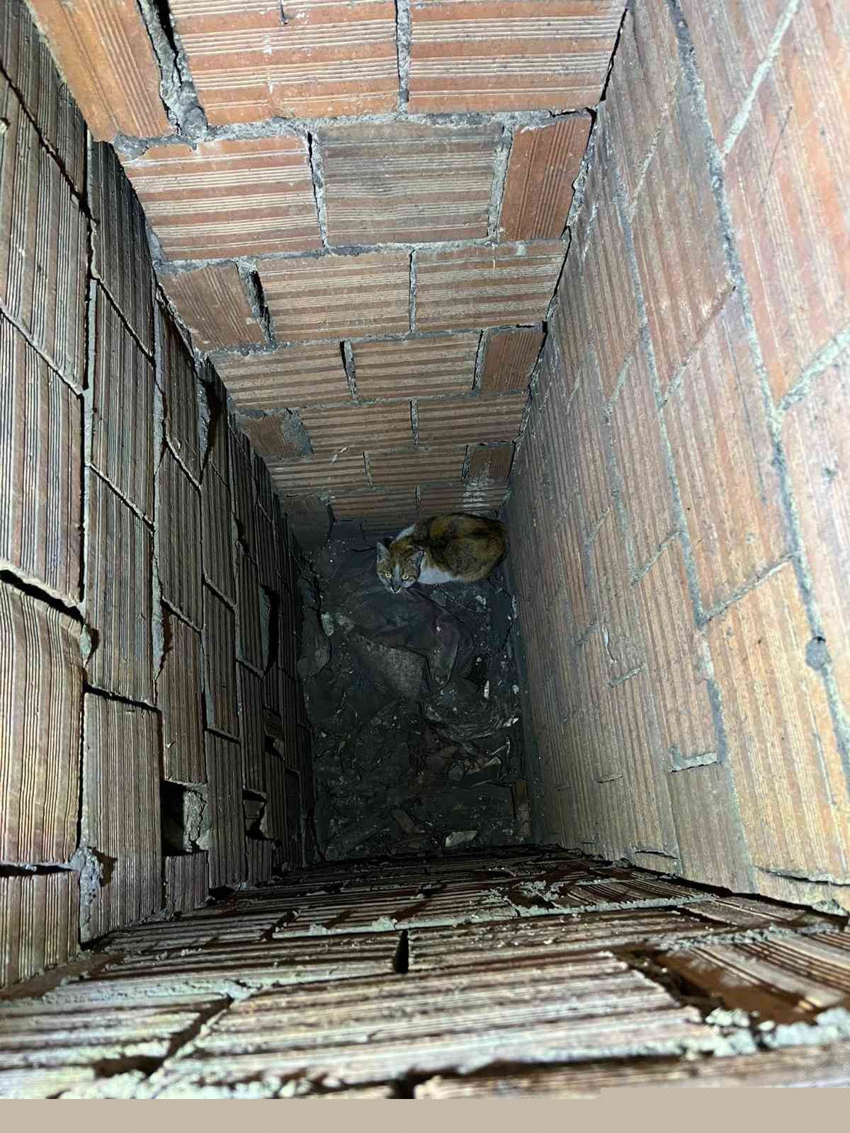 Havalandırma boşluğuna düşen kedi kurtarıldı
