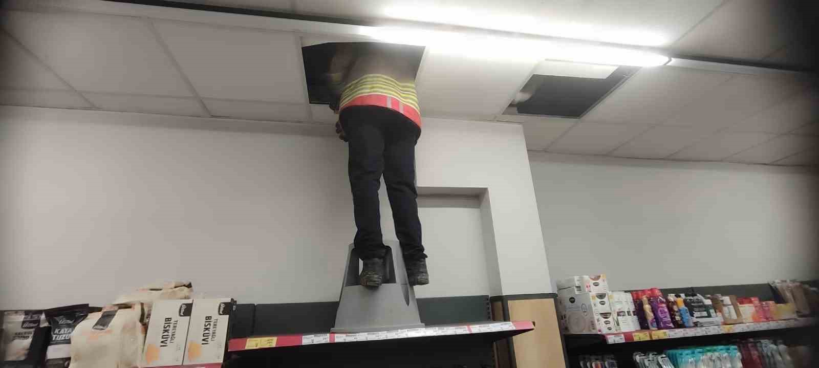 Havalandırma boşluğunda mahsur kalan kediyi itfaiye kurtardı
