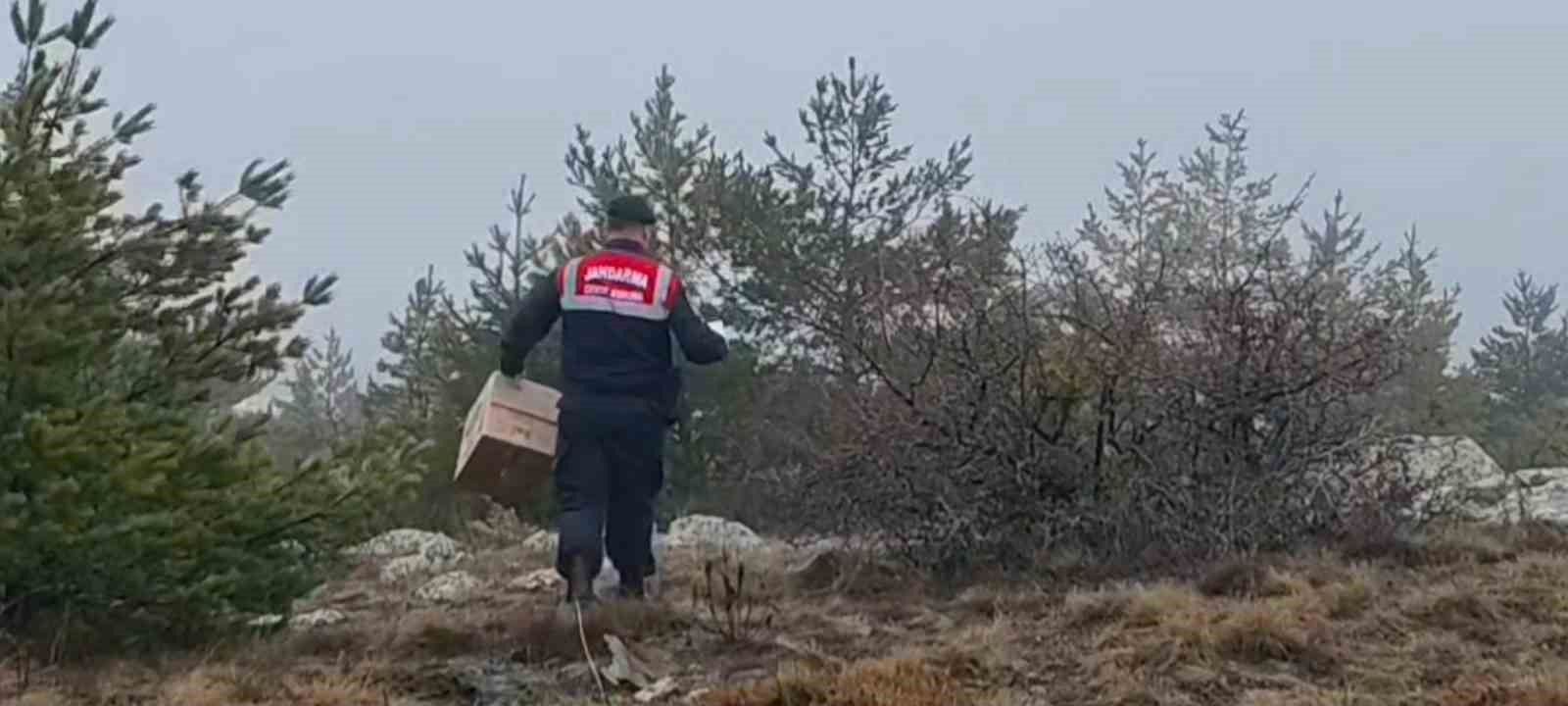 HAYDİ ekipleri doğadaki canlıları unutmadı
