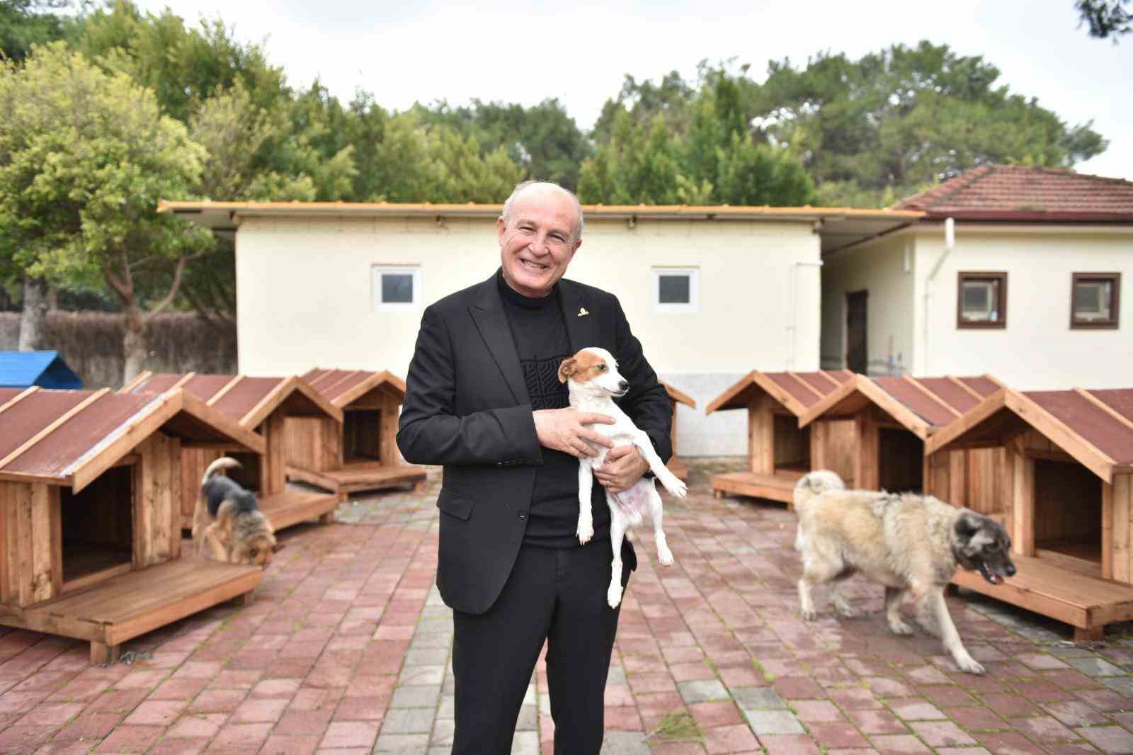 Hayırseverlerden 8 adet köpek ve 50 adet kedi kulübesi
