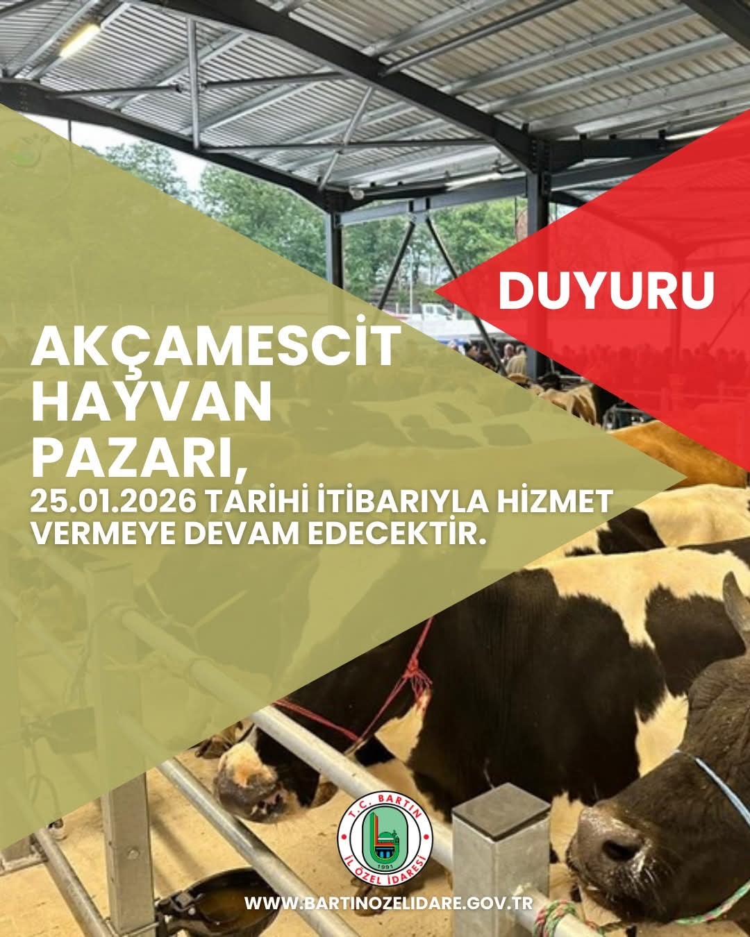 Hayvan pazarı 4 ay sonra yeniden hizmete açılacak
