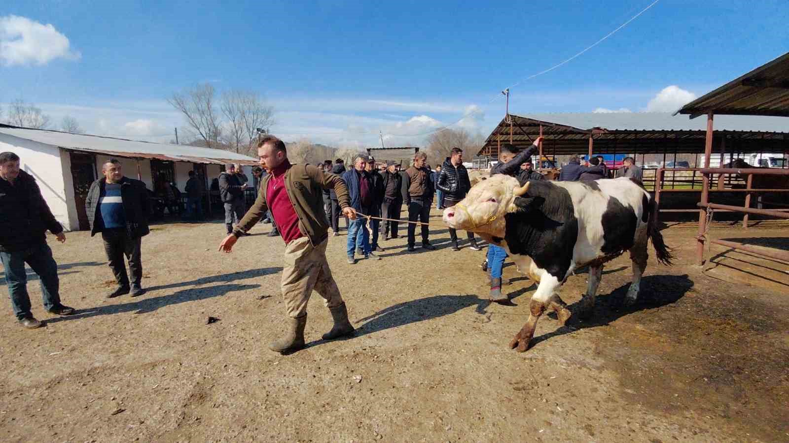 Hayvan pazarında hararetli pazarlık kamerada
