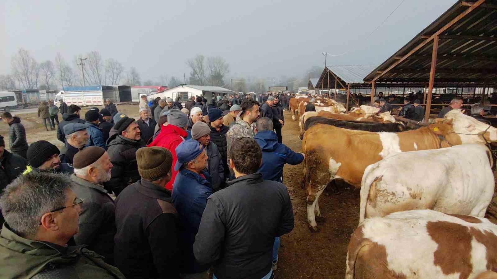 Hayvan pazarında hararetli pazarlık kamerada
