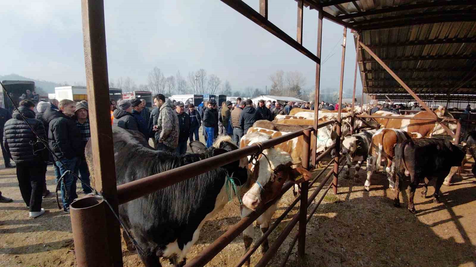 Hayvan pazarında hararetli pazarlık kamerada
