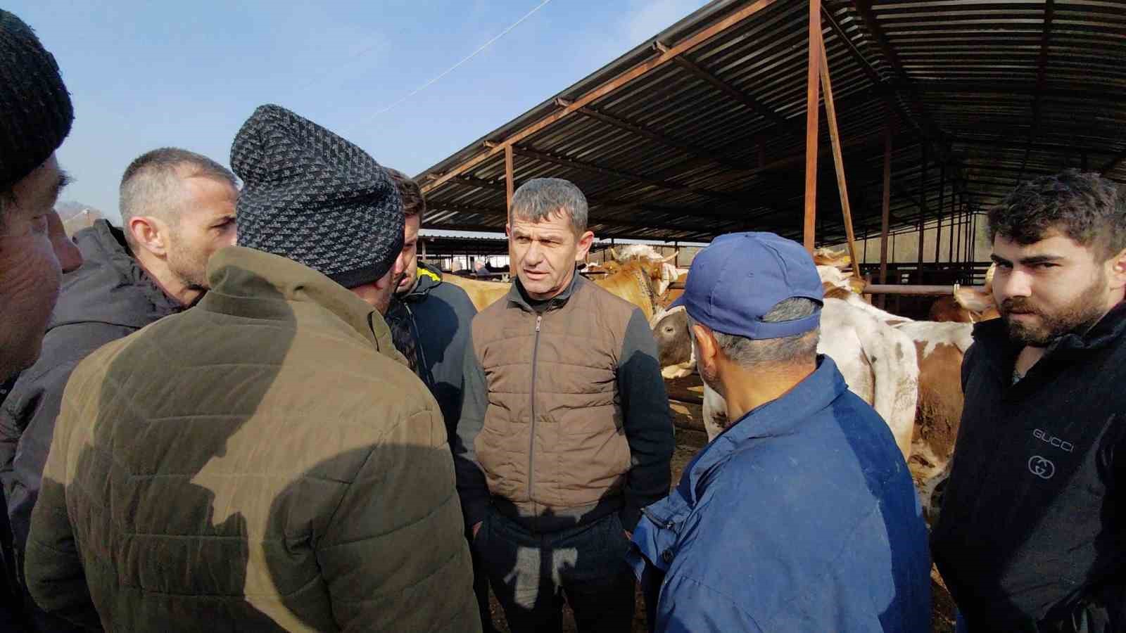 Hayvan pazarında hararetli pazarlık kamerada
